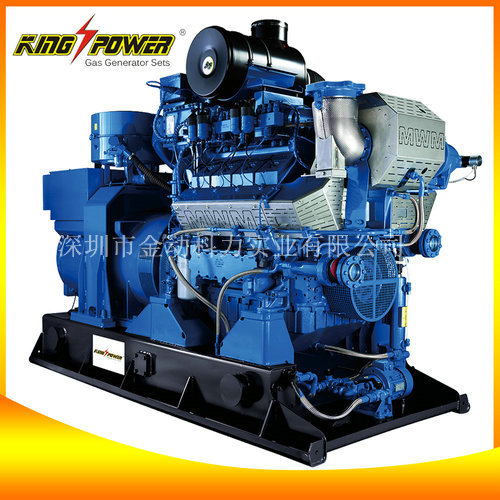 養(yǎng)殖場沼氣發(fā)電機(jī)